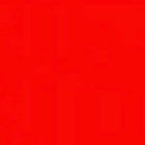 Meet your Posher, Kyla